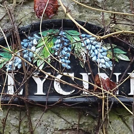 Appartamento Le Glycine A Manoir Sainte Cecile Juvigny-Val-d'Andaine Esterno foto