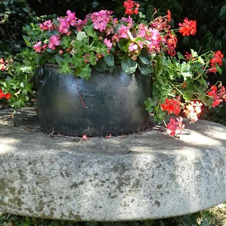 Appartamento Le Glycine A Manoir Sainte Cecile Juvigny-Val-d'Andaine Esterno foto