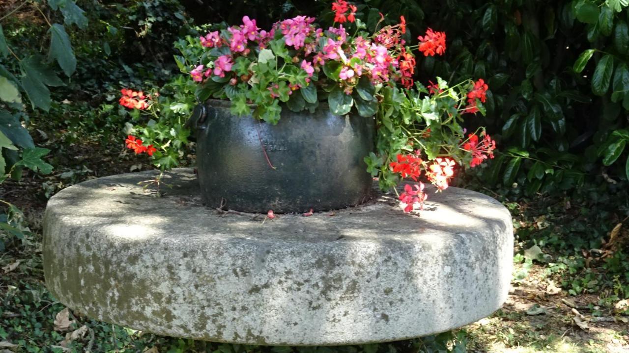 Appartamento Le Glycine A Manoir Sainte Cecile Juvigny-Val-d'Andaine Esterno foto