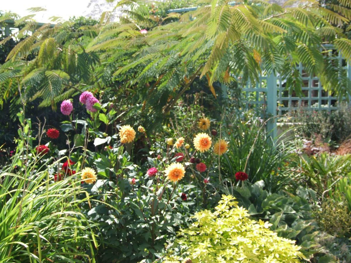 Appartamento Le Glycine A Manoir Sainte Cecile Juvigny-Val-d'Andaine Esterno foto